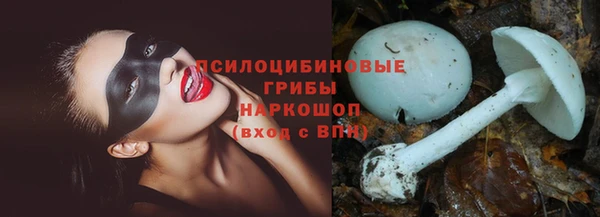 спиды Волоколамск