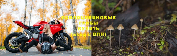 сатива Верхнеуральск